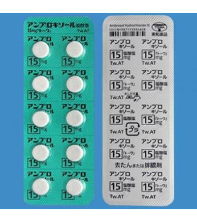 AMBROXOL HYDROCHLORIDE TABLETS 15mg TOWA: 100Tablets
