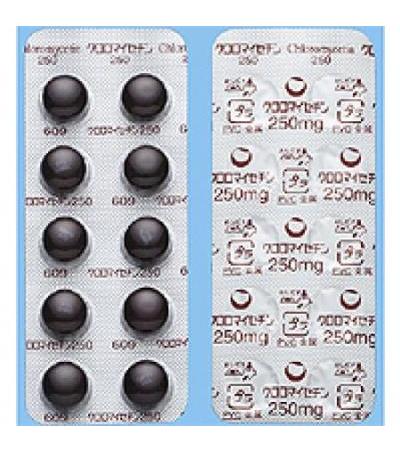 CHLOROMYCETIN TABLETS 250：100 tablets
